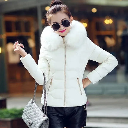 2025 Artificial raccoon fur collar winter jacket women Winter And Autumn Wear High Quality Parkas Outwear Women Coats